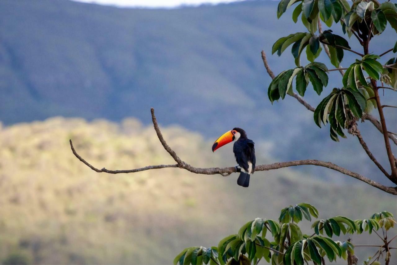 Vila Dos Cristais Alto Paraíso de Goiás Dış mekan fotoğraf